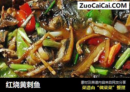 红烧黄刺鱼