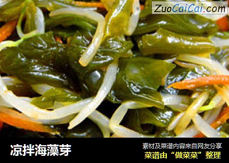凉拌海藻芽