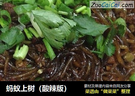 蚂蚁上树