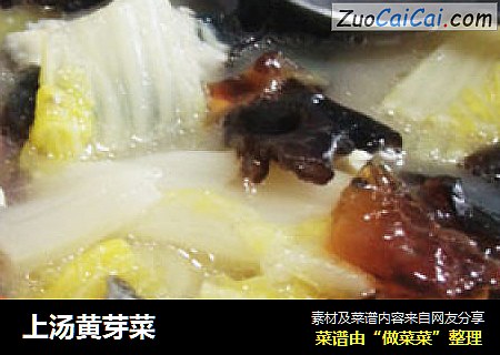 上汤黄芽菜