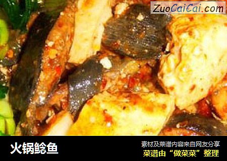 火锅鲶鱼