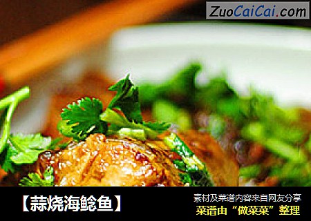 【蒜烧海鲶鱼】