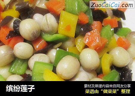 缤纷莲子