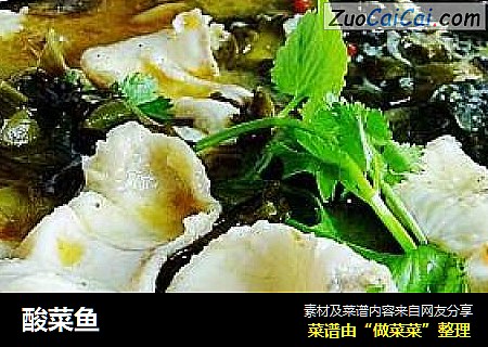 酸菜鱼