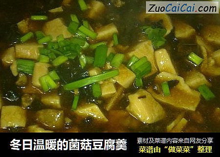 冬日温暖的菌菇豆腐羹