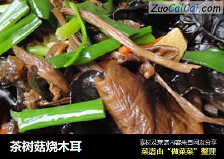 茶树菇烧木耳