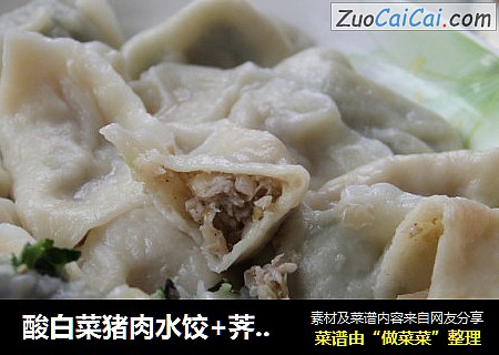 酸白菜猪肉水饺+荠菜猪肉水饺