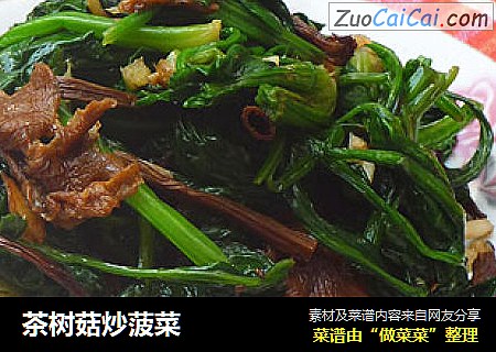 茶树菇炒菠菜