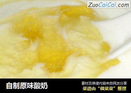 自制原味酸奶