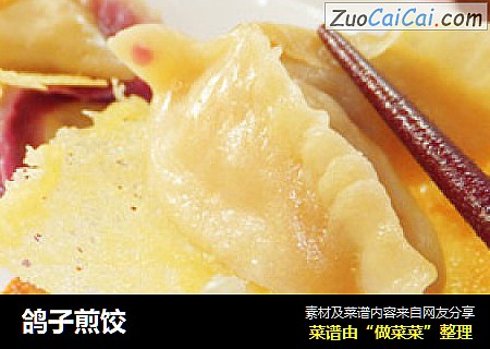 鸽子煎饺