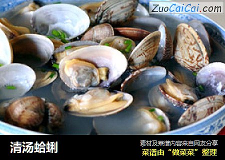 清汤蛤蜊