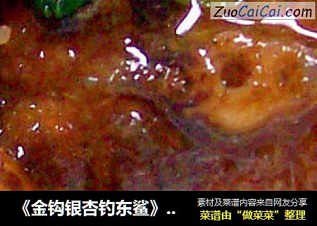 《金钩银杏钓东鲨》家宴红烧类海鲜菜肴