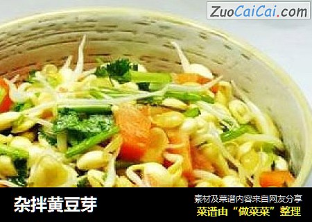 杂拌黄豆芽