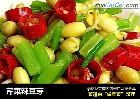 芹菜辣豆芽