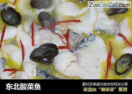 东北酸菜鱼