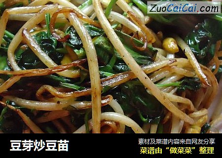 豆芽炒豆苗
