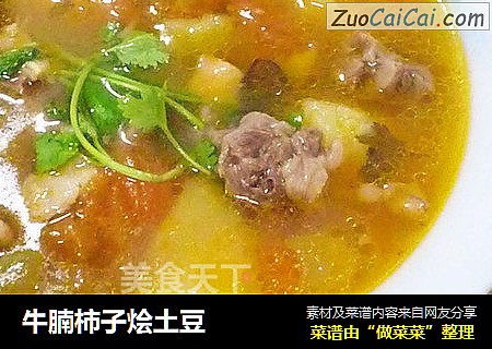 牛腩柿子烩土豆