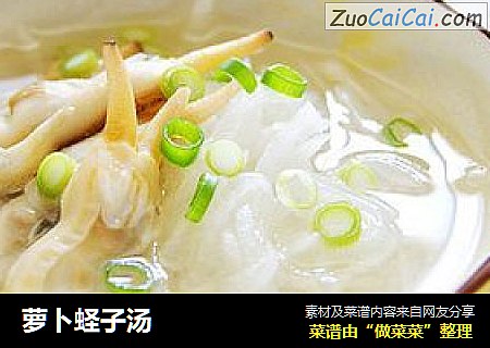 萝卜蛏子汤