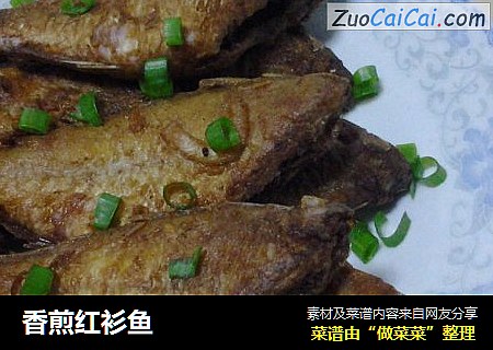 香煎红衫鱼