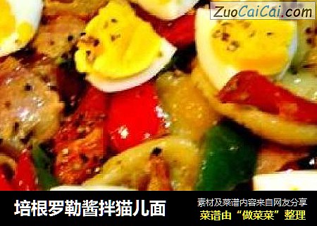 培根罗勒酱拌猫儿面