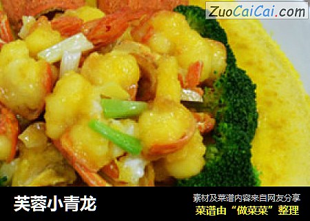 芙蓉小青龙