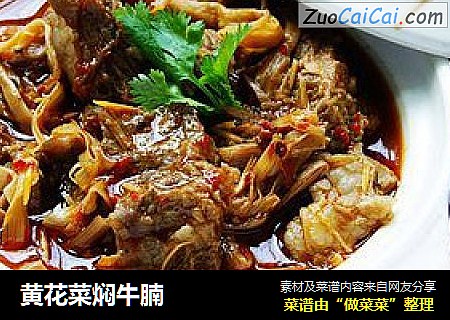 黄花菜焖牛腩