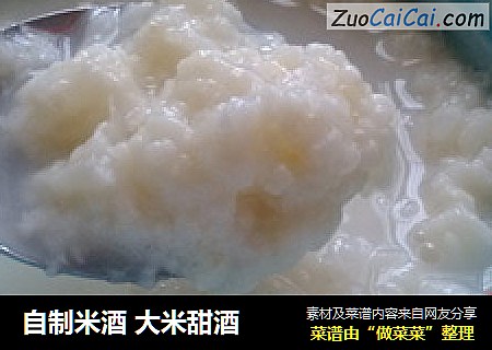 自制米酒 大米甜酒