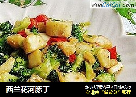 西兰花河豚丁