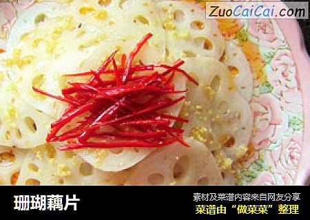 珊瑚藕片