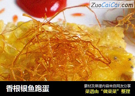香根银鱼跑蛋