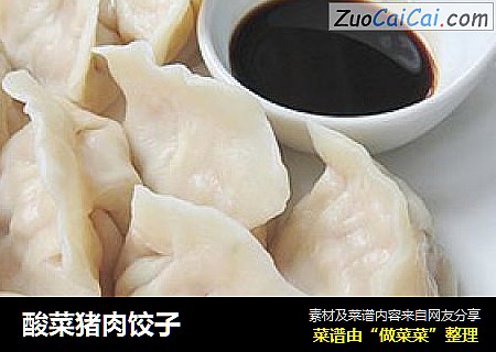 酸菜猪肉饺子