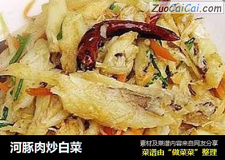 河豚肉炒白菜
