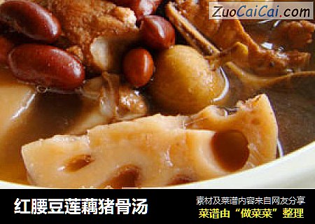 红腰豆莲藕猪骨汤