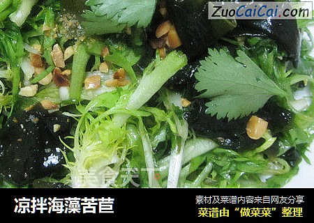 凉拌海藻苦苣