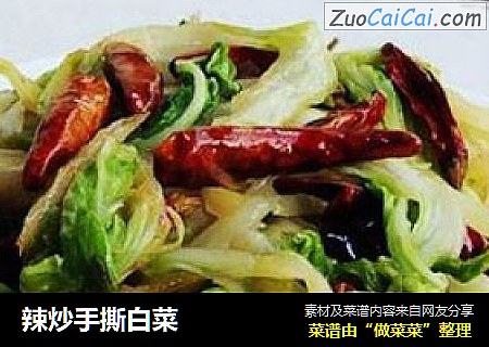 辣炒手撕白菜