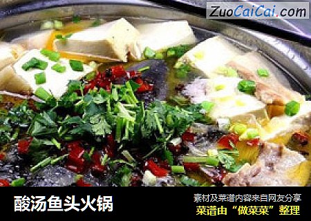 酸汤鱼头火锅