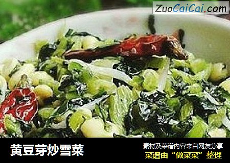 黄豆芽炒雪菜