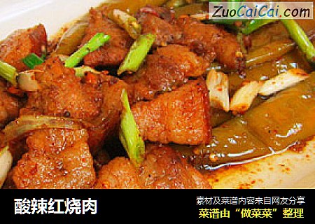 酸辣红烧肉