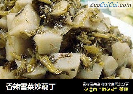 香辣雪菜炒藕丁