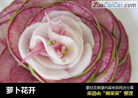 萝卜花开