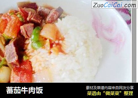 蕃茄牛肉饭