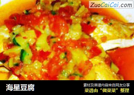 海星豆腐