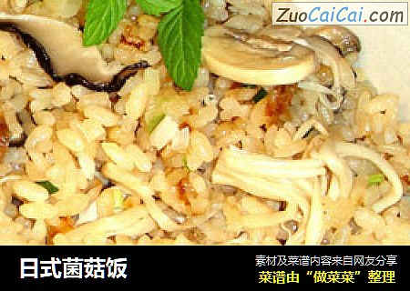 日式菌菇饭