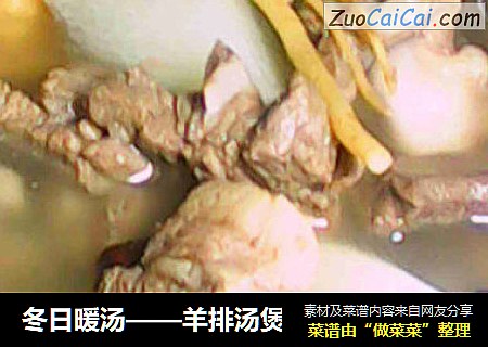 冬日暖汤——羊排汤煲
