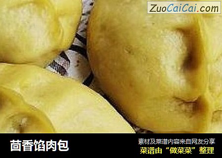 茴香馅肉包