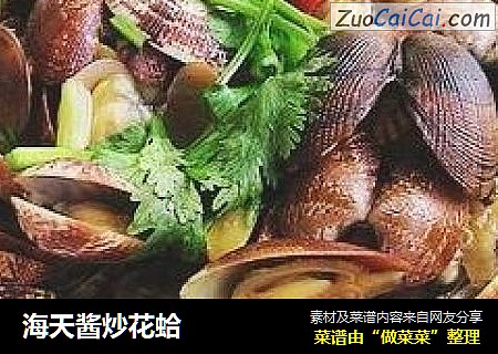 海天酱炒花蛤