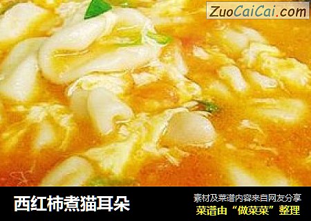 西红柿煮猫耳朵