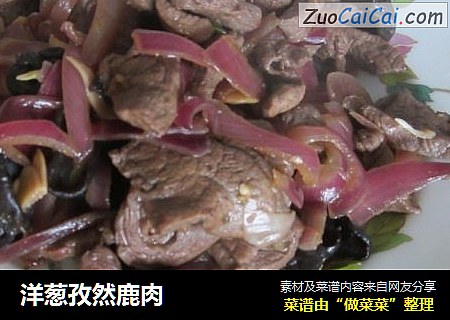 洋葱孜然鹿肉