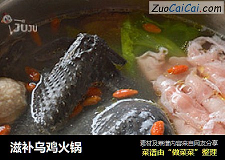 滋补乌鸡火锅