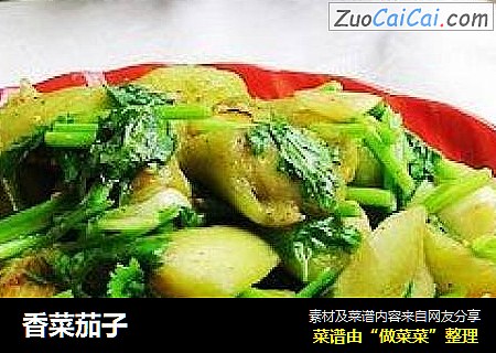 香菜茄子